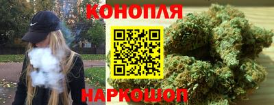 mdpv Заводоуковск