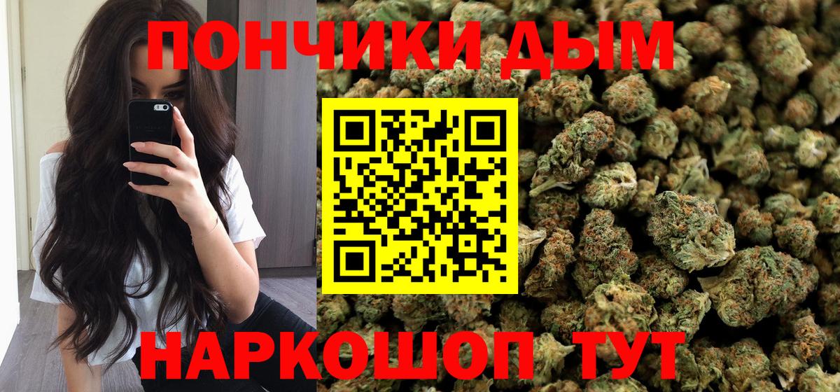 Каннабис Bruce Banner Курчалой